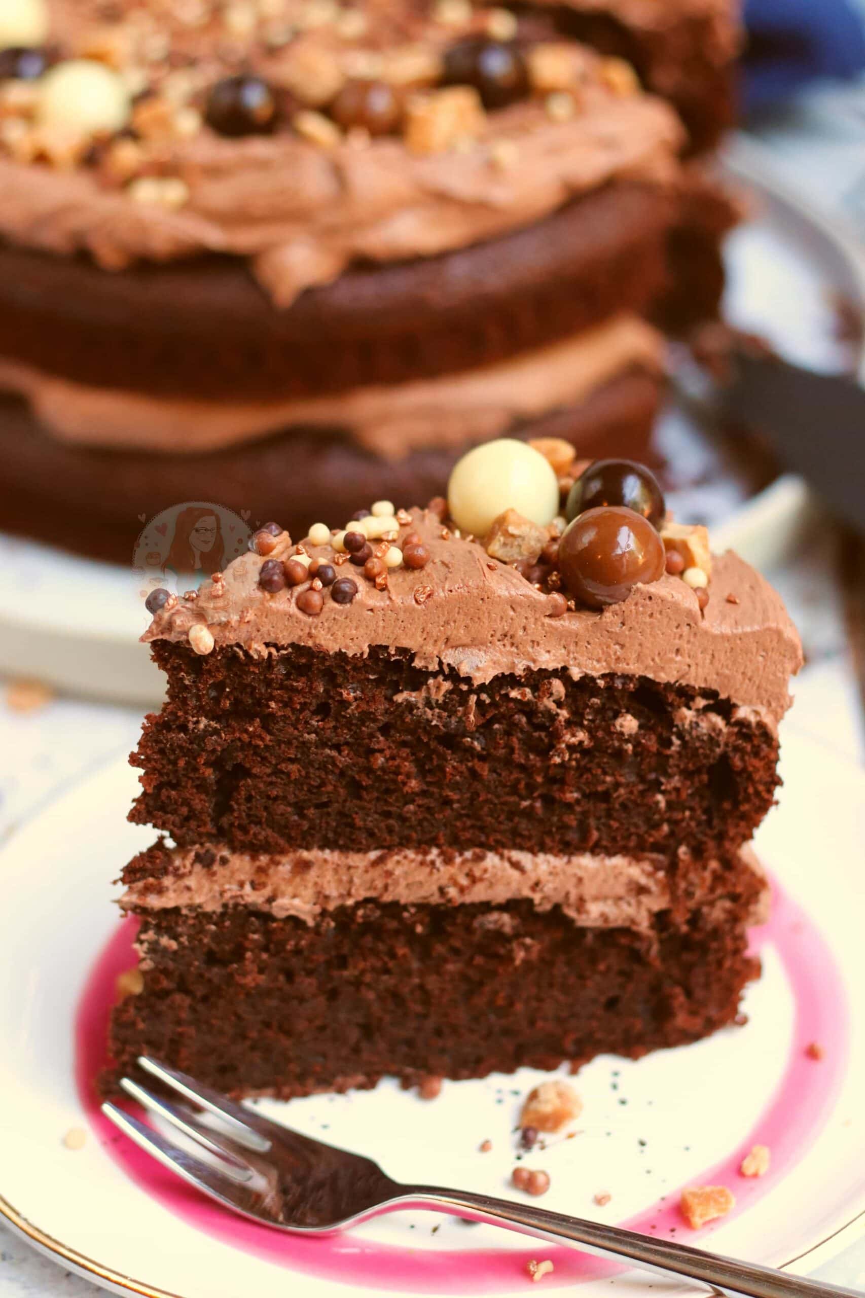 Chocolate Fudge Cake with the BEST Chocolate Frosting ever! Jane's