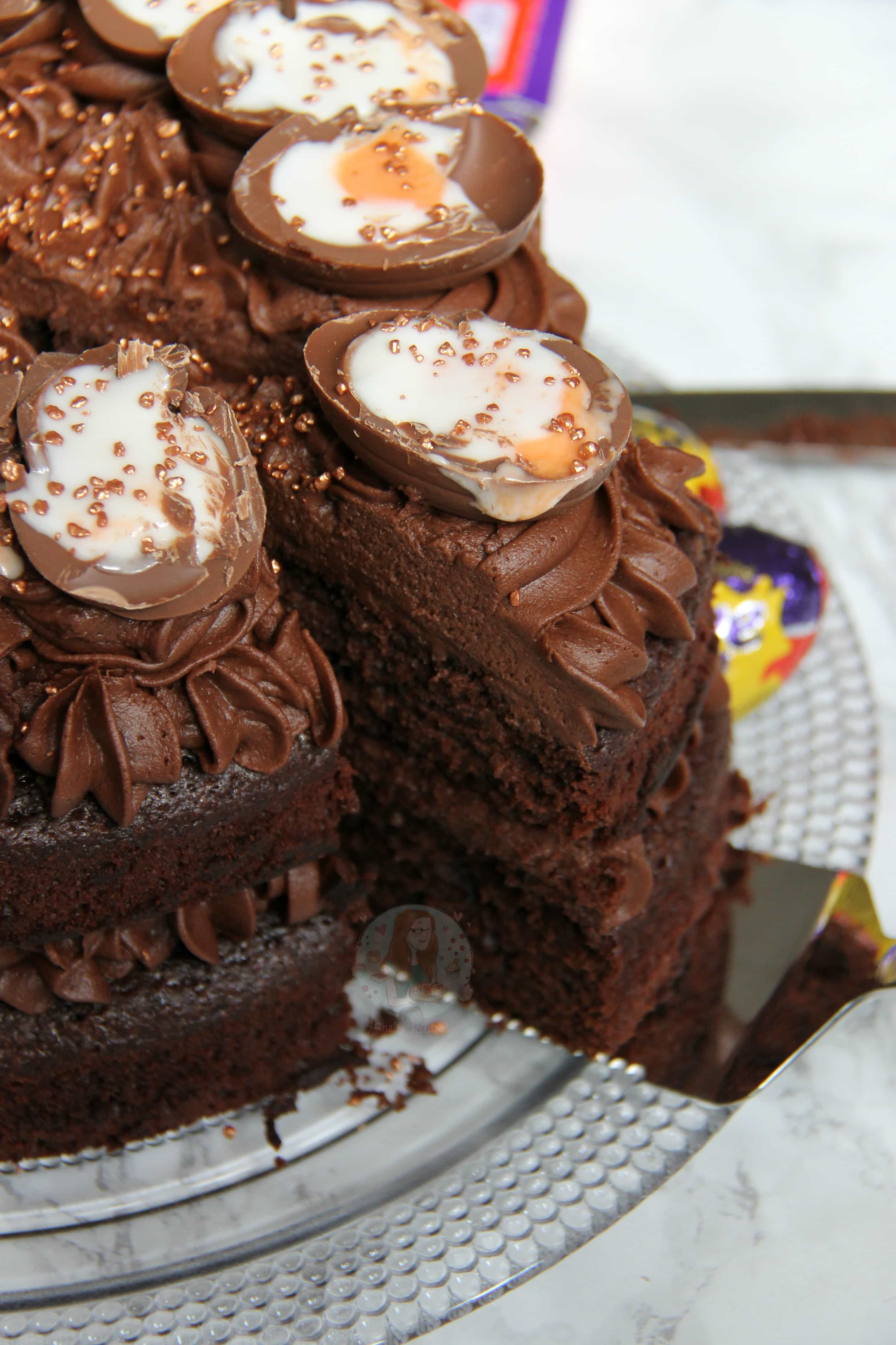 Chocolate Fudge Cake with the BEST Chocolate Frosting ever! - Jane's ...