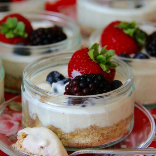 Skinny Mini Cheesecakes! - Jane's Patisserie