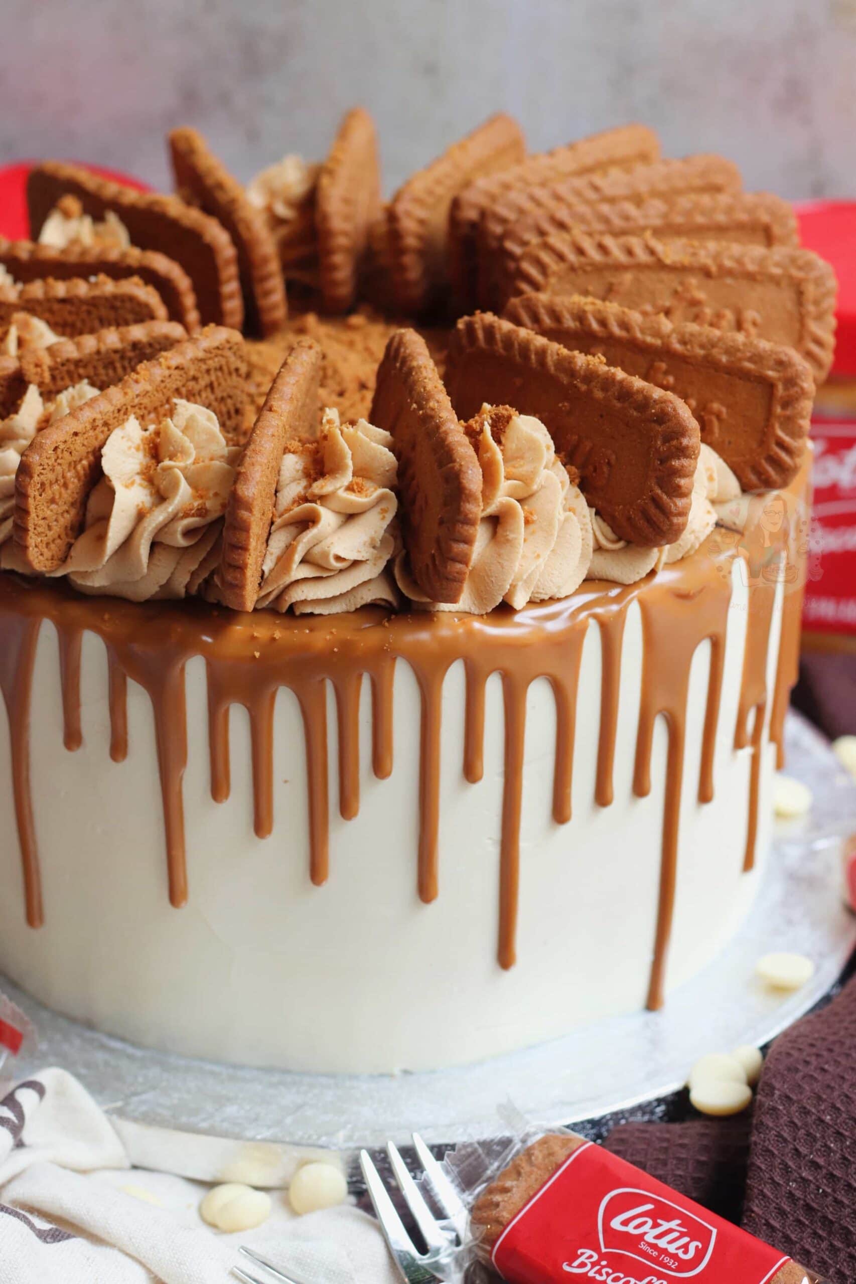 Lotus Biscoff Cake - The Salted Sweets