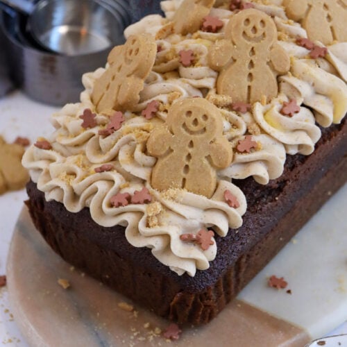 Gluten-Free Gingerbread Cake (Moist & Floofy!) • The Bojon Gourmet