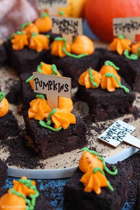 Pumpkin Patch Brownies! - Jane's Patisserie
