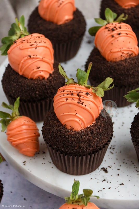 Succulent Carrot Cupcakes with Edible Dirt : r/Baking