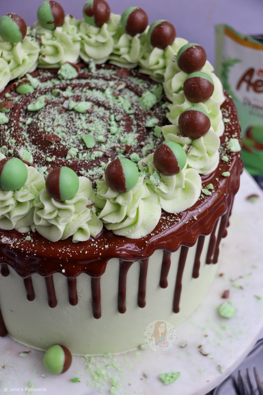 Peppermint Mocha Chocolate Cake - Baker by Nature